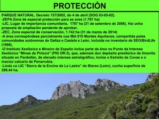 PROTECCIÓN
PARQUE NATURAL. Decreto 157/2002, do 4 de abril (DOG 03-05-02).
-ZEPA Zona de especial protección para as aves (1.787 ha)
-LIC, Lugar de importancia comunitaria, 1787 ha (21 de setembro de 2006). Hai unha
proposta de ampliación pendente de aprobar.
-ZEC, Zona especial de conservación, 1.742 ha (31 de marzo de 2014)
-A área correspóndese parcialmente coa IBA 010 Montes Aquilanos, compartida polas
comunidades autónomas de Galiza e Castela e León, incluida no inventario de SEO/BirdLife
(1998).
-O Instituto Xeolóxico e Mineiro de España inclue parte da área no Punto de Interese
Xeolóxico "Minas de Pintura" (PIG OR-3), que, ademais dun depósito presilúrico de limonita
situado en Pardollán, de elevado interese estratigráfico, inclúe o Estreito de Covas e o
macizo calcario de Penarrubia.
-Linda co LIC “Sierra de la Encina de La Lastra” do Bierzo (León), cunha superficie de
289,44 ha.
 
