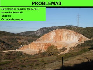 PROBLEMAS
-Explotacións mineiras (calcarias)
-Incendios forestais
-Encoros
-Especies invasoras
 
