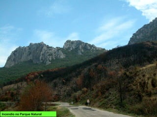 Incendio no Parque Natural
 