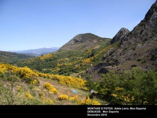 MONTAXE E FOTOS: Adela Leiro, Mon Daporta
DEBUXOS: Mon Daporta
Novembro 2016
 