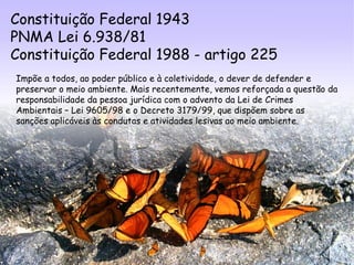 Constituição Federal 1943 PNMA Lei 6.938/81 Constituição Federal 1988 - artigo 225 
Impõe a todos, ao poder público e à coletividade, o dever de defender e preservar o meio ambiente. Mais recentemente, vemos reforçada a questão da responsabilidade da pessoa jurídica com o advento da Lei de Crimes Ambientais – Lei 9605/98 e o Decreto 3179/99, que dispõem sobre as sanções aplicáveis às condutas e atividades lesivas ao meio ambiente.  