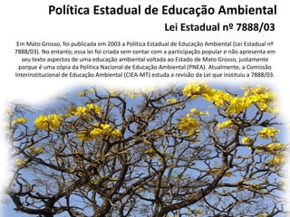 Política Estadual de Educação Ambiental Lei Estadual nº 7888/03 
Em Mato Grosso, foi publicada em 2003 a Política Estadual de Educação Ambiental (Lei Estadual nº 7888/03). No entanto, essa lei foi criada sem contar com a participação popular e não apresenta em seu texto aspectos de uma educação ambiental voltada ao Estado de Mato Grosso, justamente porque é uma cópia da Política Nacional de Educação Ambiental (PNEA). Atualmente, a Comissão Interinstitucional de Educação Ambiental (CIEA-MT) estuda a revisão da Lei que instituiu a 7888/03.  