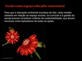Escola como espaço educador sustentável 
Para que a educação ambiental aconteça de fato, cada medida adotada em relação ao espaço escolar, ao currículo e à gestão da escola precisa considerar critérios de sustentabilidade, que devem funcionar como balizadores de todas as ações.  