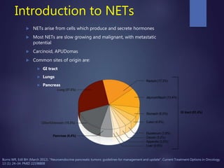 Net Cancer Pancreatic Neuroendocrine Tumors | PPTX