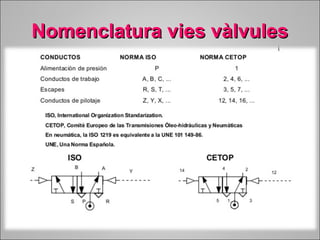 NNoommeennccllaattuurraa vviieess vvààllvvuulleess 
 