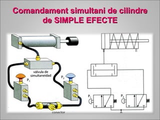 CCoommaannddaammeenntt ssiimmuullttaannii ddee cciilliinnddrree 
ddee SSIIMMPPLLEE EEFFEECCTTEE 
 