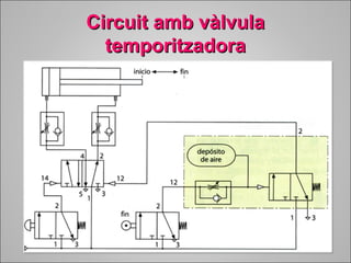 CCiirrccuuiitt aammbb vvààllvvuullaa 
tteemmppoorriittzzaaddoorraa 
 