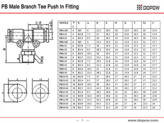 Pneumatic Fitting & Tubing 