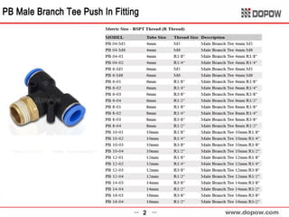 Pneumatic Fitting & Tubing 