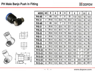 Pneumatic Fitting & Tubing 
