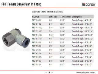 Pneumatic Fitting & Tubing 