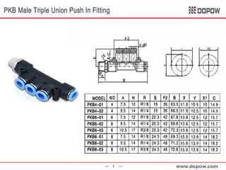 Pneumatic Fitting & Tubing 