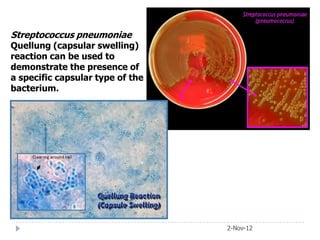 Streptococcus pneumoniae
Quellung (capsular swelling)
reaction can be used to
demonstrate the presence of
a specific capsular type of the
bacterium.




                                  2-Nov-12
 