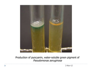 Production of pyocyanin, water-soluble green pigment of
               Pseudomonas aeruginosa
                                          2-Nov-12
 