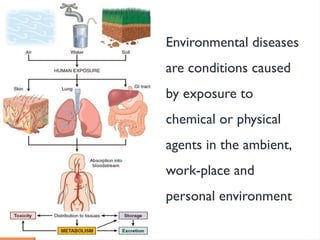 pathology of environment-161214140857.pptx
