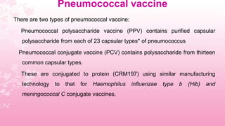 Vaccine pneumococcal Pneumococcal Vaccines