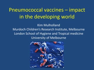 Pneumococcal vaccines – impact
in the developing world
Kim Mulholland
Murdoch Children’s Research Institute, Melbourne
London School of Hygiene and Tropical medicine
University of Melbourne
 