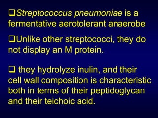 Streptococcus pneumoniae is a
fermentative aerotolerant anaerobe
Unlike other streptococci, they do
not display an M protein.

 they hydrolyze inulin, and their
cell wall composition is characteristic
both in terms of their peptidoglycan
and their teichoic acid.
 