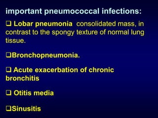 important pneumococcal infections:
 Lobar pneumonia consolidated mass, in
contrast to the spongy texture of normal lung
tissue.

Bronchopneumonia.

 Acute exacerbation of chronic
bronchitis

 Otitis media

Sinusitis
 