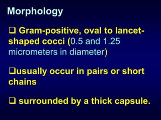 Morphology
 Gram-positive, oval to lancet-
shaped cocci (0.5 and 1.25
micrometers in diameter)

usually occur in pairs or short
chains

 surrounded by a thick capsule.
 