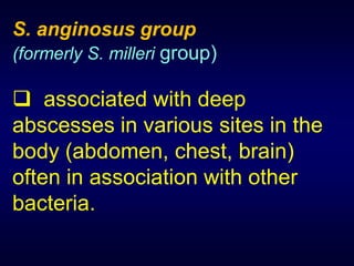 S. anginosus group
(formerly S. milleri group)

 associated with deep
abscesses in various sites in the
body (abdomen, chest, brain)
often in association with other
bacteria.
 