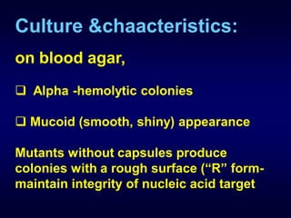 Culture &chaacteristics:
on blood agar,
 Alpha -hemolytic colonies

 Mucoid (smooth, shiny) appearance

Mutants without capsules produce
colonies with a rough surface (“R” form-
maintain integrity of nucleic acid target
 