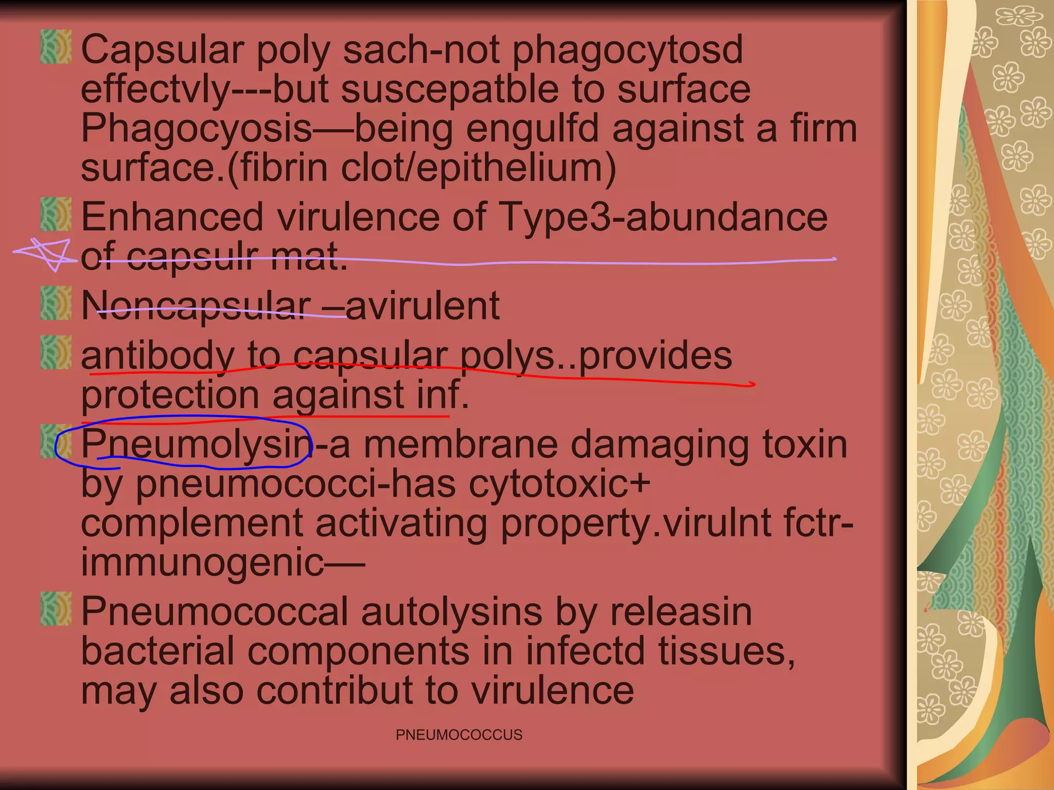 Capsular poly sach-not phagocytosd effectvly---but suscepatble to surface Phagocyosis—being engulfd against a firm surface.(fibrin clot/epithelium) Enhanced virulence of Type3-abundance of capsulr mat. Noncapsular –avirulent antibody to capsular polys..provides protection against inf. Pneumolysin-a membrane damaging toxin by pneumococci-has cytotoxic+ complement activating property.virulnt fctr-immunogenic— Pneumococcal autolysins by releasin bacterial components in infectd tissues, may also contribut to virulence 