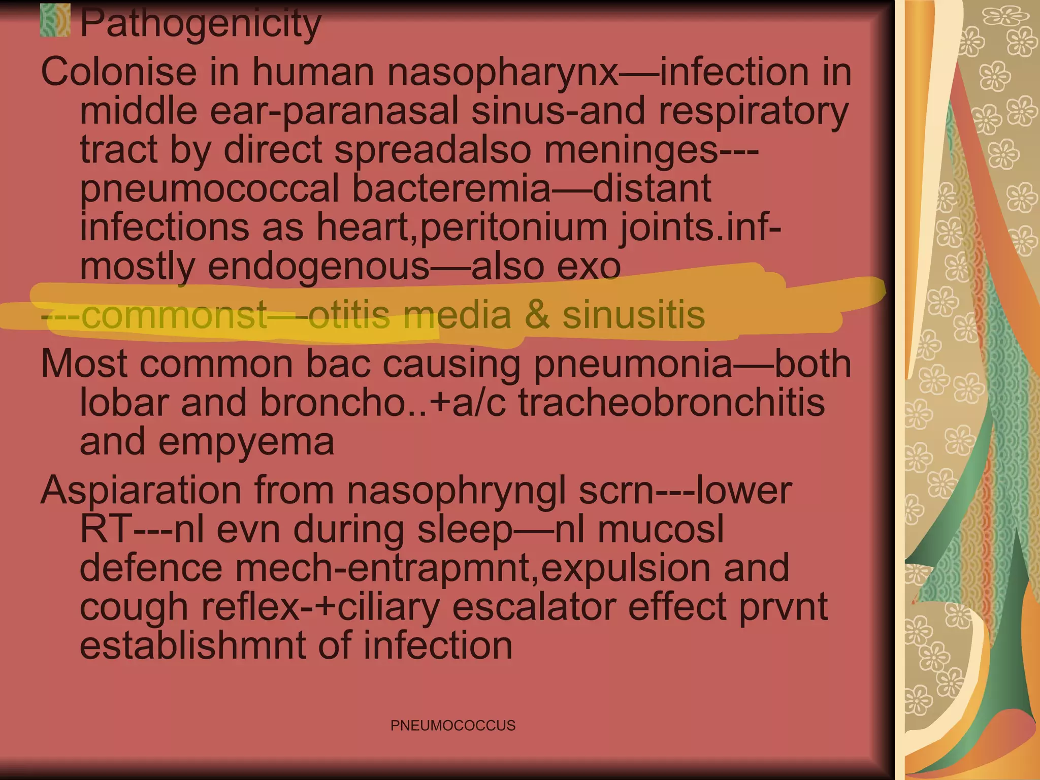 Pathogenicity Colonise in human nasopharynx—infection in middle ear-paranasal sinus-and respiratory tract by direct spreadalso meninges---pneumococcal bacteremia—distant infections as heart,peritonium joints.inf-mostly endogenous—also exo ---commonst—otitis media & sinusitis Most common bac causing pneumonia—both lobar and broncho..+a/c tracheobronchitis and empyema Aspiaration from nasophryngl scrn---lower RT---nl evn during sleep—nl mucosl defence mech-entrapmnt,expulsion and cough reflex-+ciliary escalator effect prvnt establishmnt of infection 