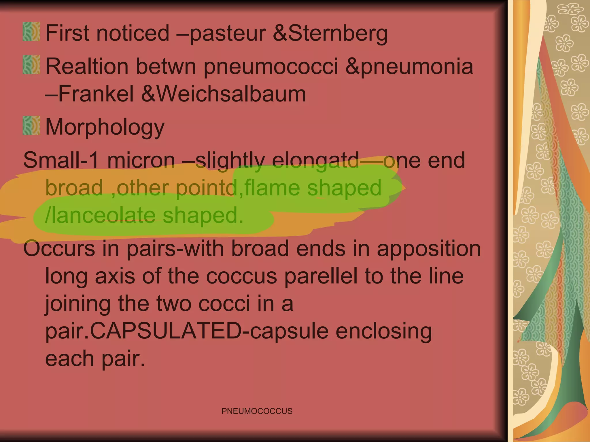 First noticed –pasteur &Sternberg Realtion betwn pneumococci &pneumonia –Frankel &Weichsalbaum Morphology Small-1 micron –slightly elongatd—one end broad ,other pointd,flame shaped /lanceolate shaped. Occurs in pairs-with broad ends in apposition long axis of the coccus parellel to the line joining the two cocci in a pair.CAPSULATED-capsule enclosing each pair. 