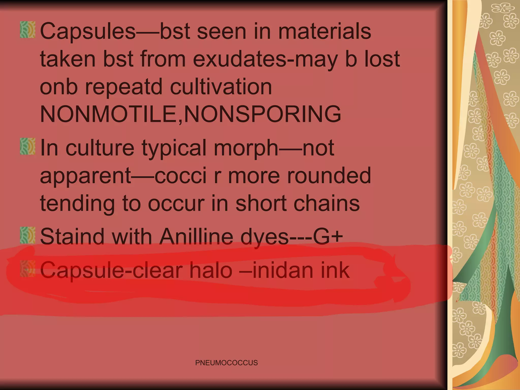 Capsules—bst seen in materials taken bst from exudates-may b lost onb repeatd cultivation NONMOTILE,NONSPORING In culture typical morph—not apparent—cocci r more rounded tending to occur in short chains Staind with Anilline dyes---G+ Capsule-clear halo –inidan ink 