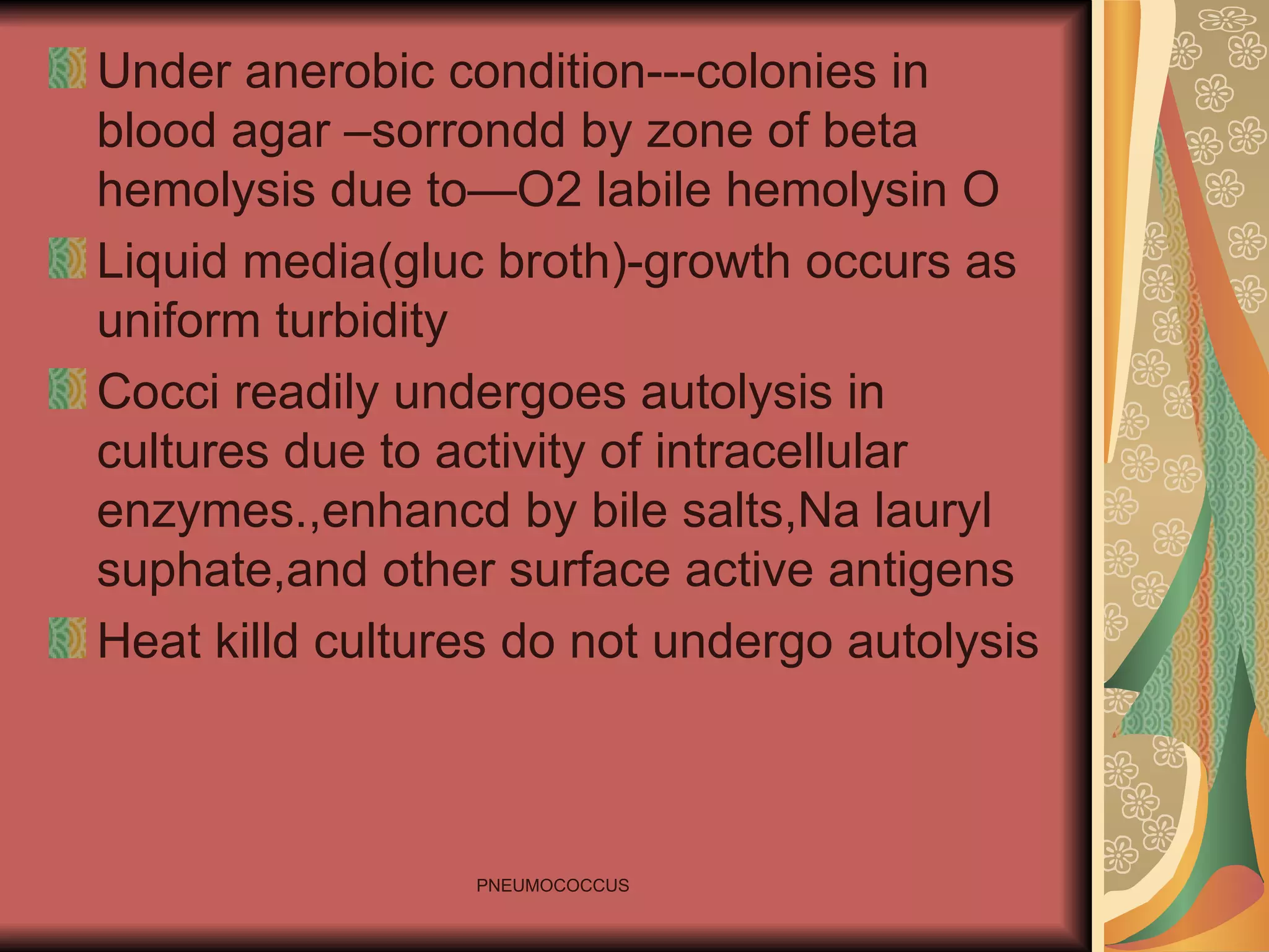 Under anerobic condition---colonies in blood agar –sorrondd by zone of beta hemolysis due to—O2 labile hemolysin O Liquid media(gluc broth)-growth occurs as uniform turbidity Cocci readily undergoes autolysis in cultures due to activity of intracellular enzymes.,enhancd by bile salts,Na lauryl suphate,and other surface active antigens Heat killd cultures do not undergo autolysis 