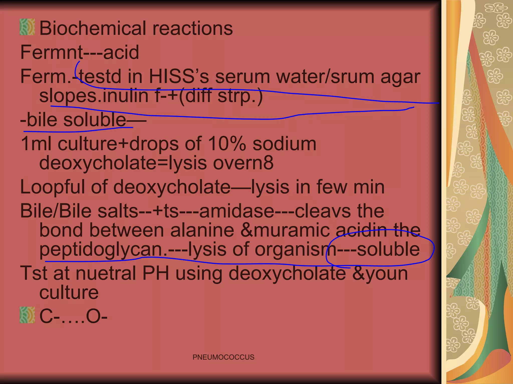 Biochemical reactions Fermnt---acid Ferm.-testd in HISS’s serum water/srum agar slopes.inulin f-+(diff strp.) -bile soluble— 1ml culture+drops of 10% sodium deoxycholate=lysis overn8 Loopful of deoxycholate—lysis in few min Bile/Bile salts--+ts---amidase---cleavs the bond between alanine &muramic acidin the peptidoglycan.---lysis of organism---soluble Tst at nuetral PH using deoxycholate &youn culture C-….O- 