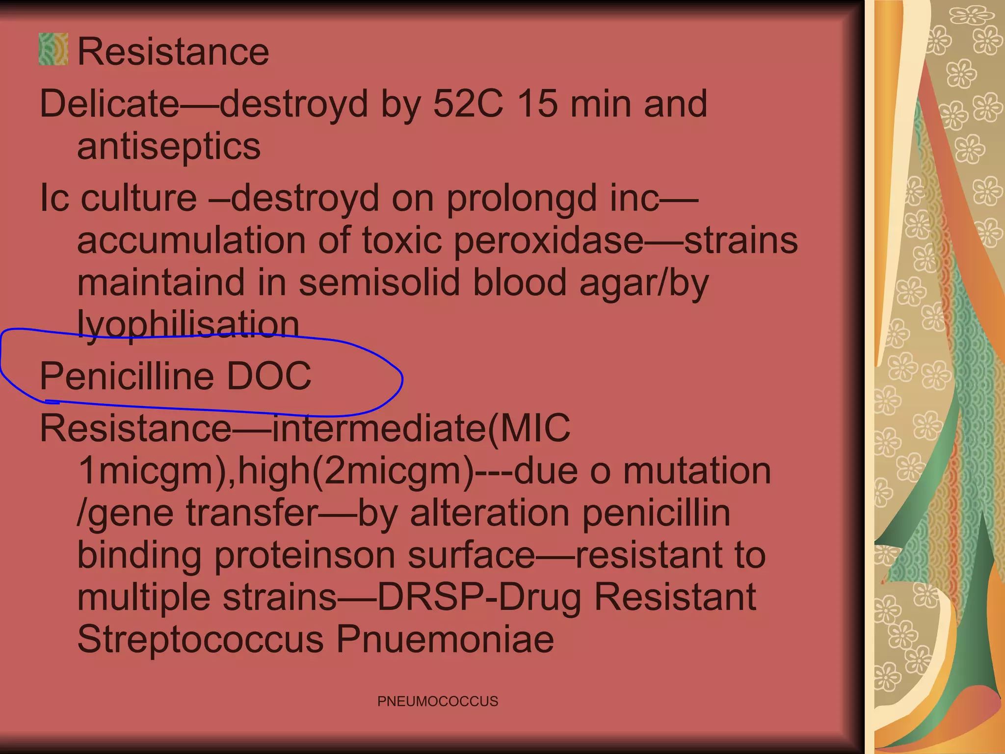 Resistance Delicate—destroyd by 52C 15 min and antiseptics Ic culture –destroyd on prolongd inc—accumulation of toxic peroxidase—strains maintaind in semisolid blood agar/by lyophilisation Penicilline DOC Resistance—intermediate(MIC 1micgm),high(2micgm)---due o mutation /gene transfer—by alteration penicillin binding proteinson surface—resistant to multiple strains—DRSP-Drug Resistant Streptococcus Pnuemoniae 
