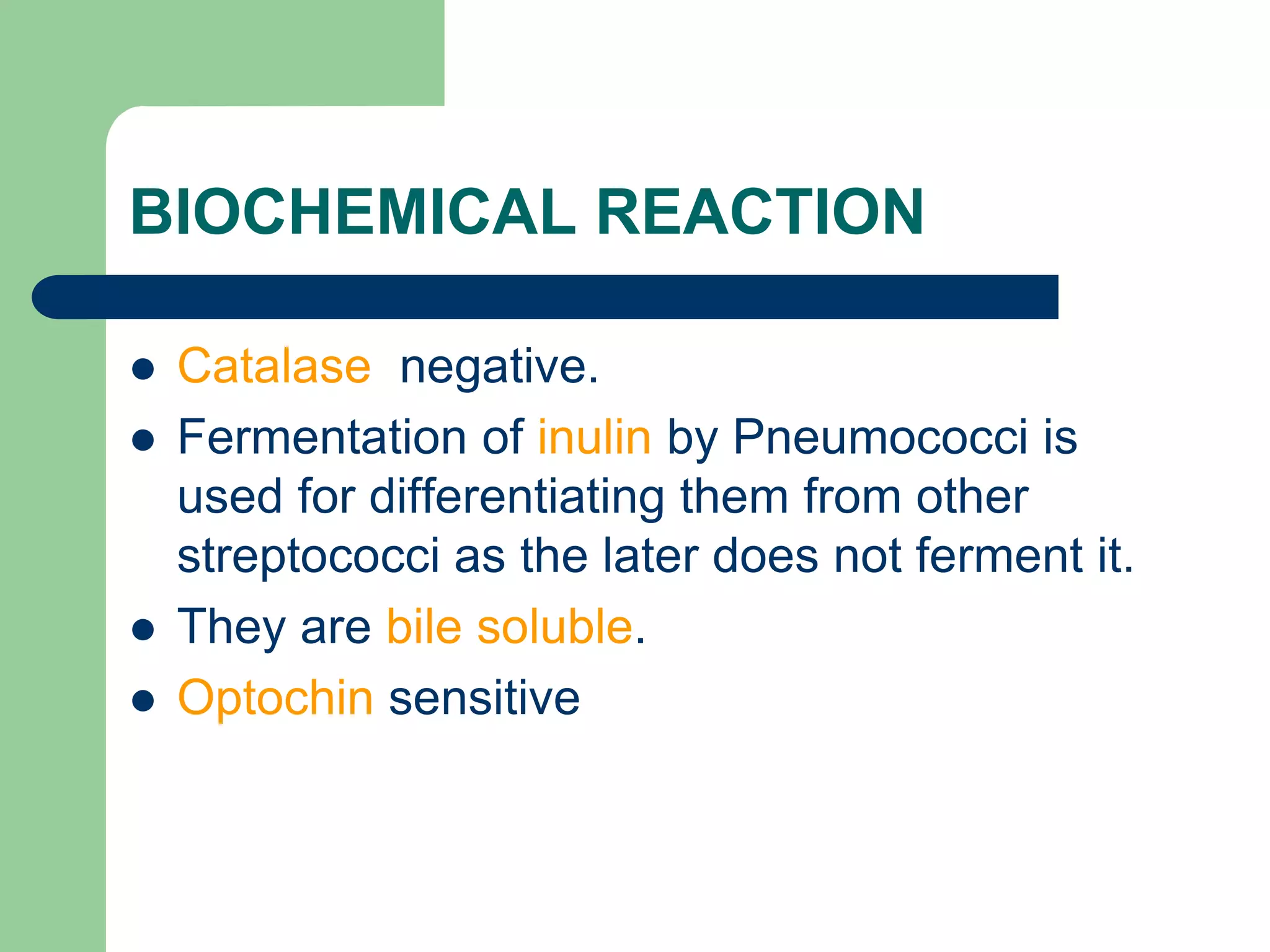 BIOCHEMICAL REACTION
 Catalase negative.
 Fermentation of inulin by Pneumococci is
used for differentiating them from other
streptococci as the later does not ferment it.
 They are bile soluble.
 Optochin sensitive
 