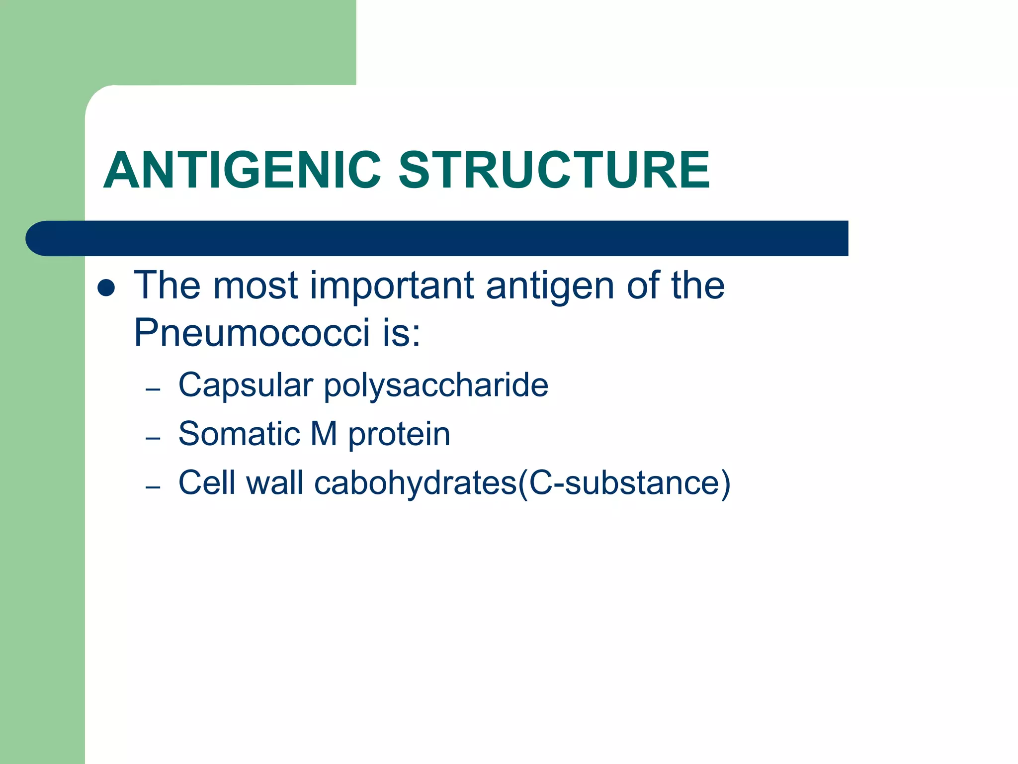 ANTIGENIC STRUCTURE
 The most important antigen of the
Pneumococci is:
– Capsular polysaccharide
– Somatic M protein
– Cell wall cabohydrates(C-substance)
 