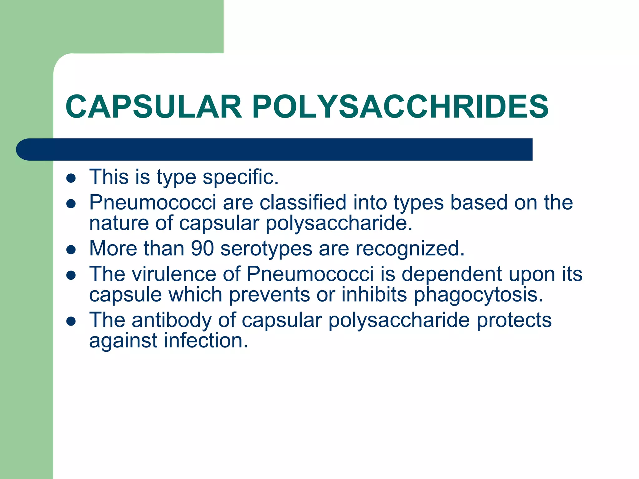 CAPSULAR POLYSACCHRIDES
 This is type specific.
 Pneumococci are classified into types based on the
nature of capsular polysaccharide.
 More than 90 serotypes are recognized.
 The virulence of Pneumococci is dependent upon its
capsule which prevents or inhibits phagocytosis.
 The antibody of capsular polysaccharide protects
against infection.
 