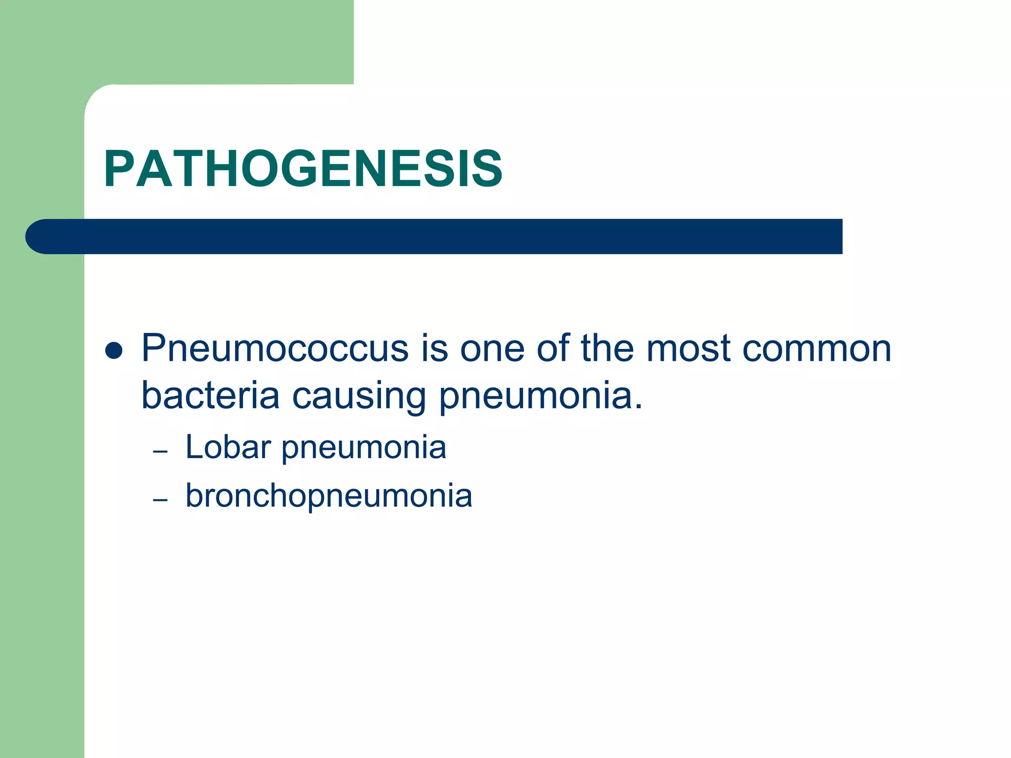 PATHOGENESIS
 Pneumococcus is one of the most common
bacteria causing pneumonia.
– Lobar pneumonia
– bronchopneumonia
 