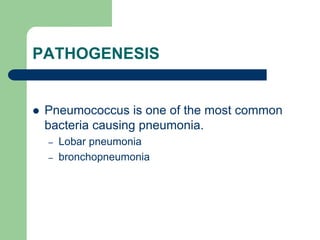PATHOGENESIS
 Pneumococcus is one of the most common
bacteria causing pneumonia.
– Lobar pneumonia
– bronchopneumonia
 