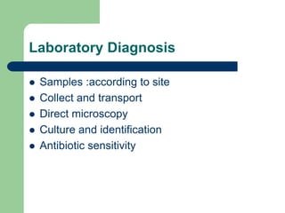 Laboratory Diagnosis
 Samples :according to site
 Collect and transport
 Direct microscopy
 Culture and identification
 Antibiotic sensitivity
 