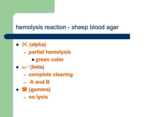 hemolysis reaction - sheep blood agar
  (alpha)
– partial hemolysis
 green color
  (beta)
– complete clearing
– A and B
  (gamma)
– no lysis
 