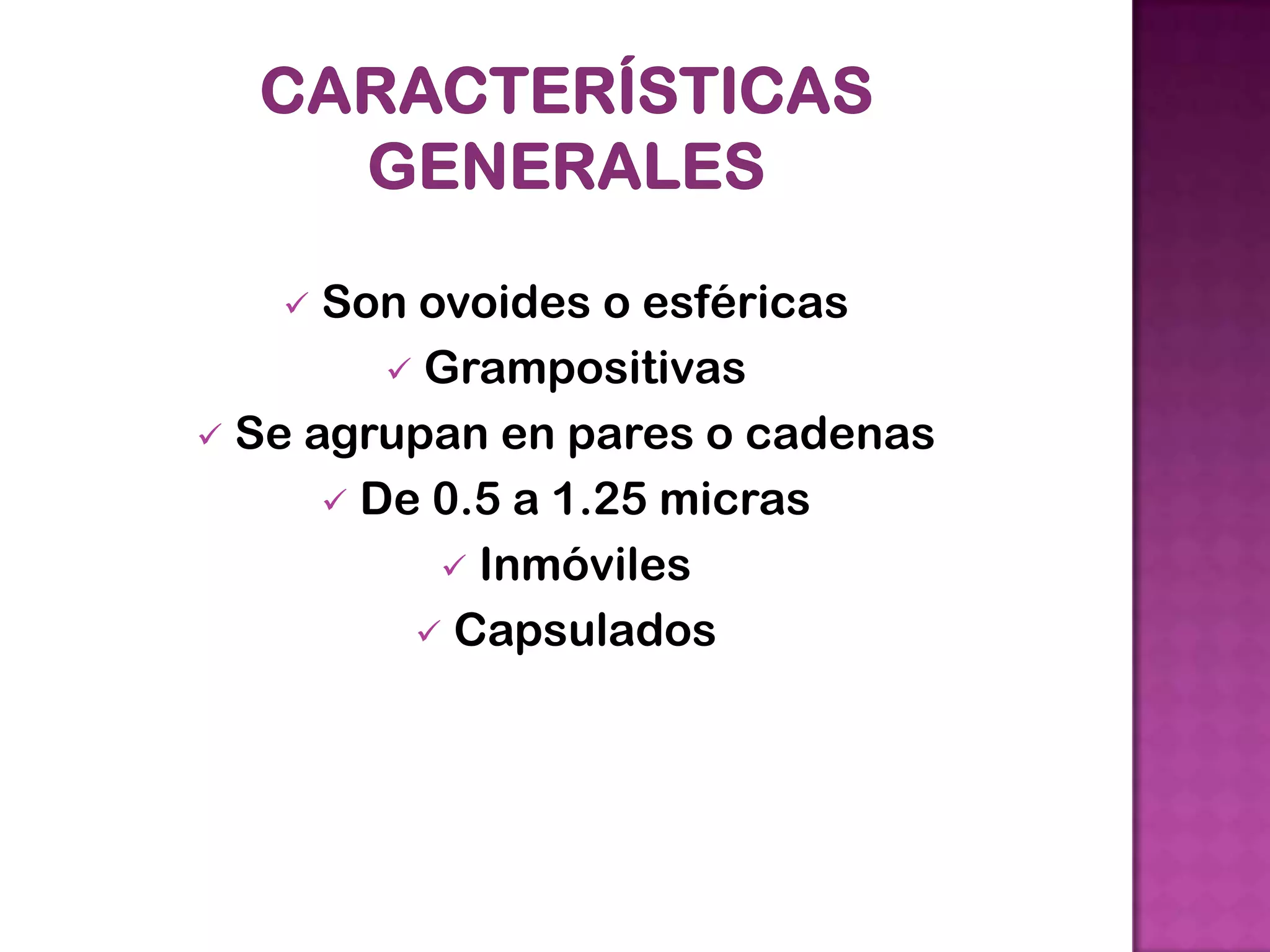  Son ovoides o esféricas
Grampositivas
Se agrupan en pares o cadenas
De 0.5 a 1.25 micras
Inmóviles
Capsulados