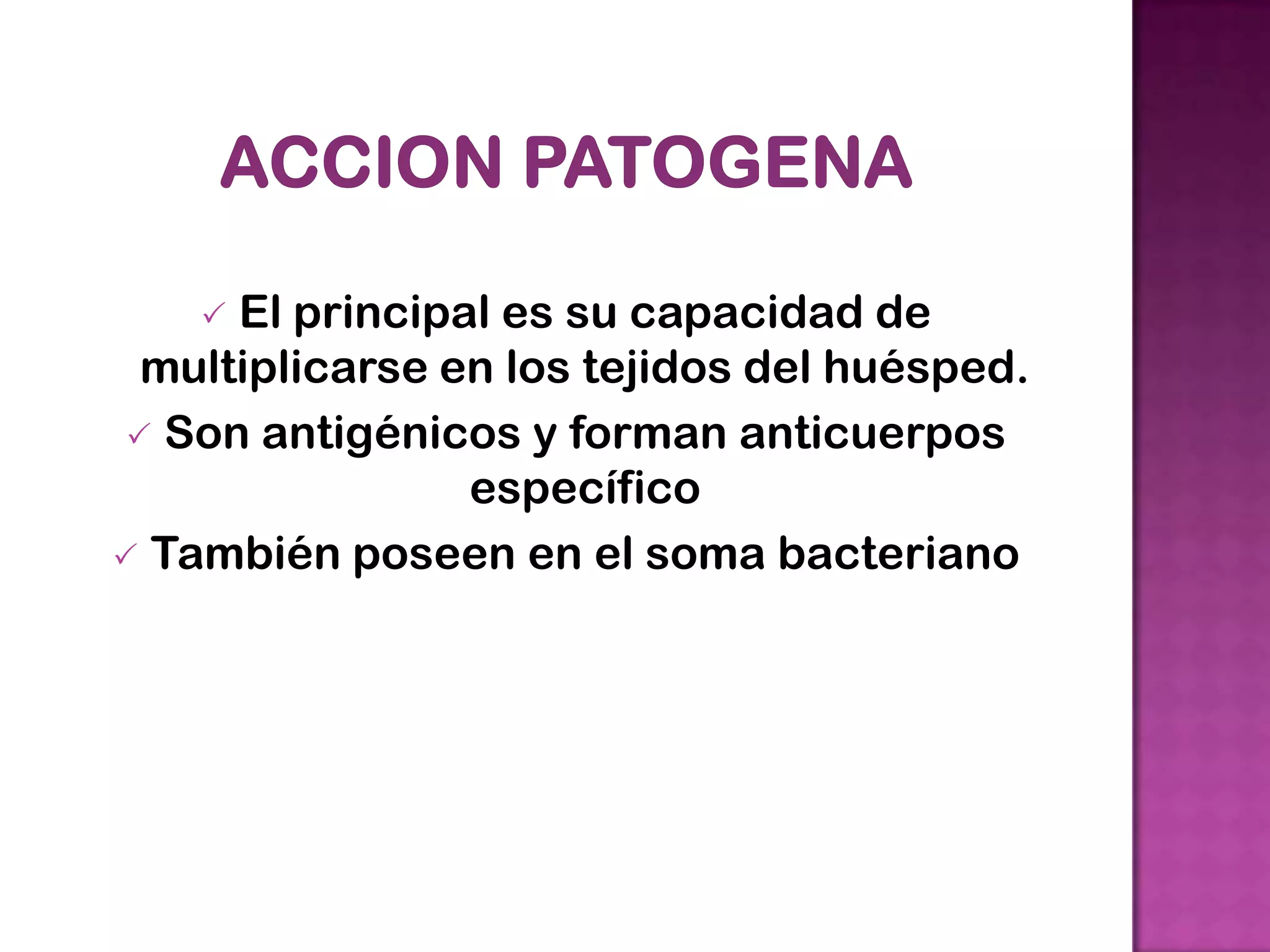  El principal es su capacidad de
multiplicarse en los tejidos del huésped.
Son antigénicos y forman anticuerpos
específico
También poseen en el soma bacteriano