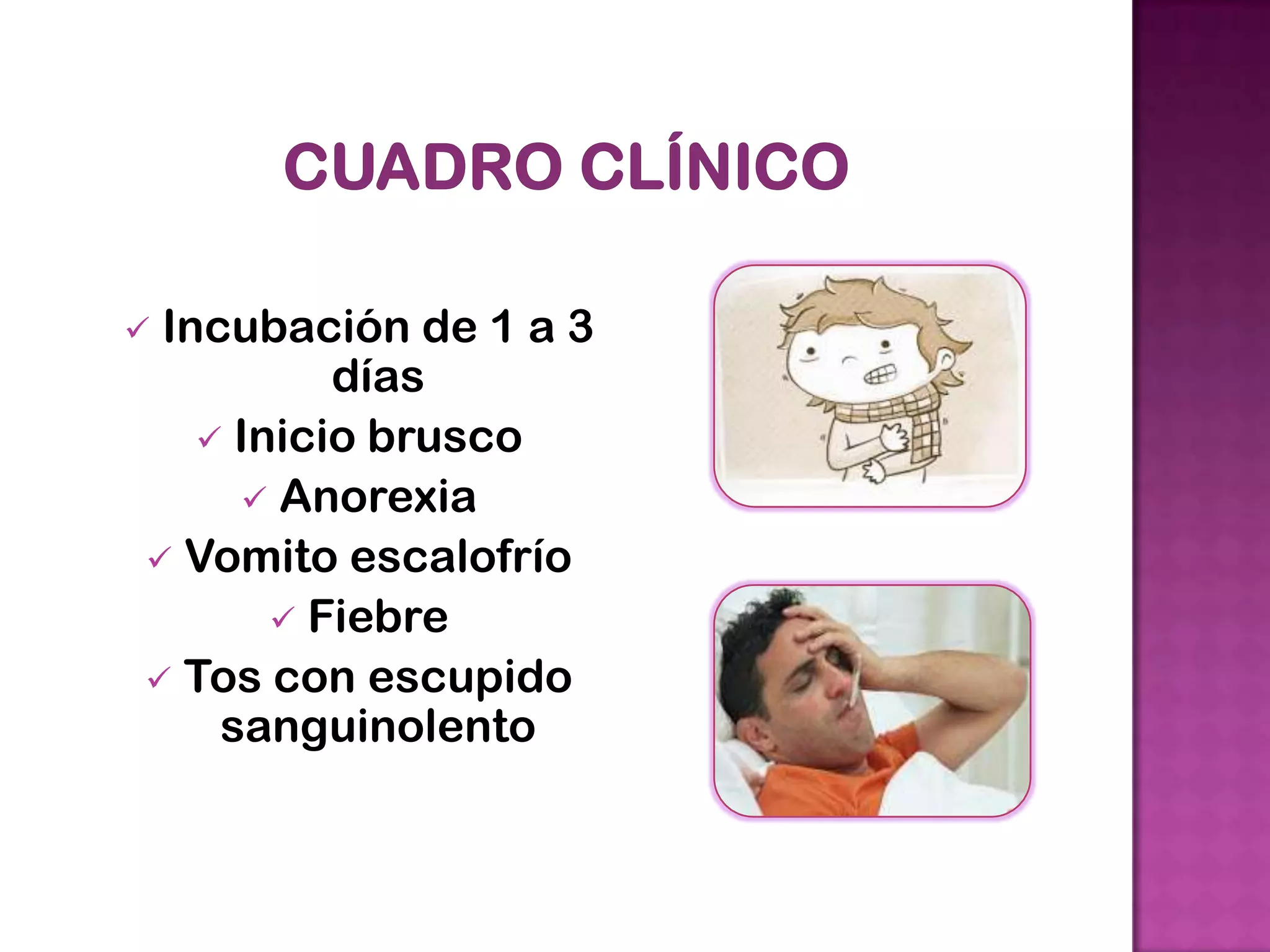 Incubación de 1 a 3
días
Inicio brusco
Anorexia
Vomito escalofrío
Fiebre
Tos con escupido
sanguinolento