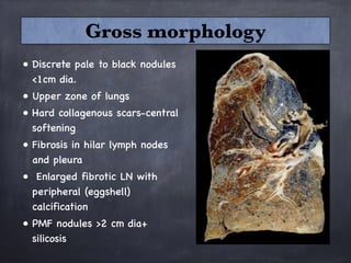 • Discrete pale to black nodules
<1cm dia.
• Upper zone of lungs
• Hard collagenous scars-central
softening
• Fibrosis in hilar lymph nodes
and pleura
• Enlarged fibrotic LN with
peripheral (eggshell)
calcification 
• PMF nodules >2 cm dia+
silicosis
Gross morphology
 