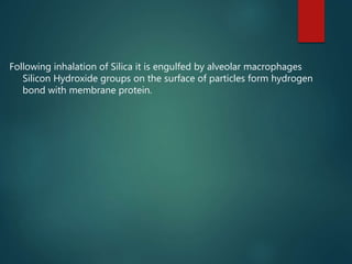 Following inhalation of Silica it is engulfed by alveolar macrophages
Silicon Hydroxide groups on the surface of particles form hydrogen
bond with membrane protein.
 