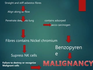 Straight and stiff asbestos fibres
Align along air flow
Penetrate deep into lung contains adsorped
Tobacco carcinogen
Failure to destroy or recognize
Malignant cells
Fibres contains Nickel chromium
Supress NK cells
Benzopyren
e
 