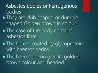 Asbestos bodies or Ferrugenous
bodies
They are club shaped or dumble
shaped Golden brown in colour.
The case of the body contains
asbestos fibre.
The fibre is coated by glycoprotein
with haemosiderins.
The haemosiderin give its golden
brown colour and beaded
 