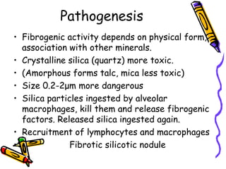 Pathogenesis
• Fibrogenic activity depends on physical form,
association with other minerals.
• Crystalline silica (quartz) more toxic.
• (Amorphous forms talc, mica less toxic)
• Size 0.2-2μm more dangerous
• Silica particles ingested by alveolar
macrophages, kill them and release fibrogenic
factors. Released silica ingested again.
• Recruitment of lymphocytes and macrophages
• Fibrotic silicotic nodule
 