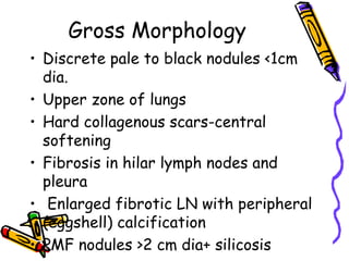 Gross Morphology
• Discrete pale to black nodules <1cm
dia.
• Upper zone of lungs
• Hard collagenous scars-central
softening
• Fibrosis in hilar lymph nodes and
pleura
• Enlarged fibrotic LN with peripheral
(eggshell) calcification
• PMF nodules >2 cm dia+ silicosis
 