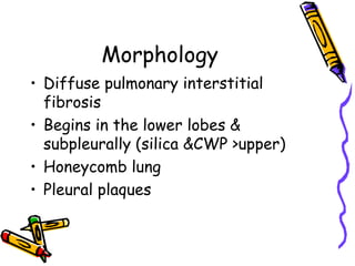 Morphology
• Diffuse pulmonary interstitial
fibrosis
• Begins in the lower lobes &
subpleurally (silica &CWP >upper)
• Honeycomb lung
• Pleural plaques
 